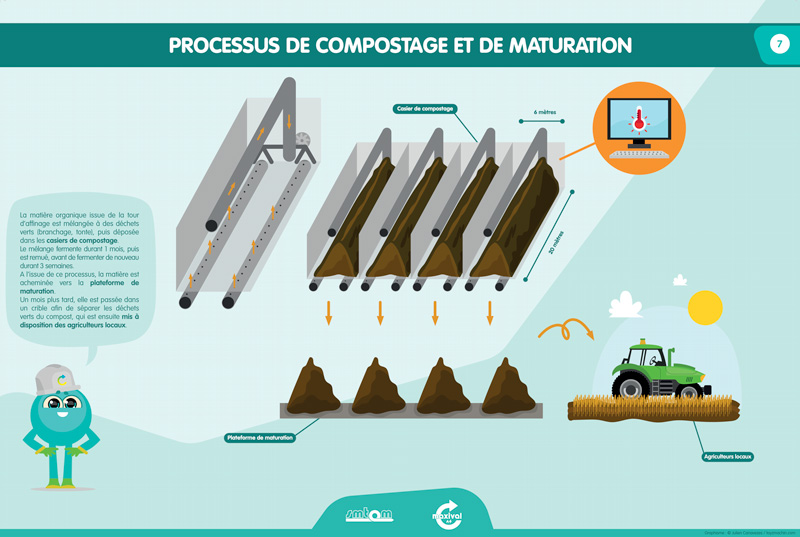 dessin illustration schema de compostage et de maturation