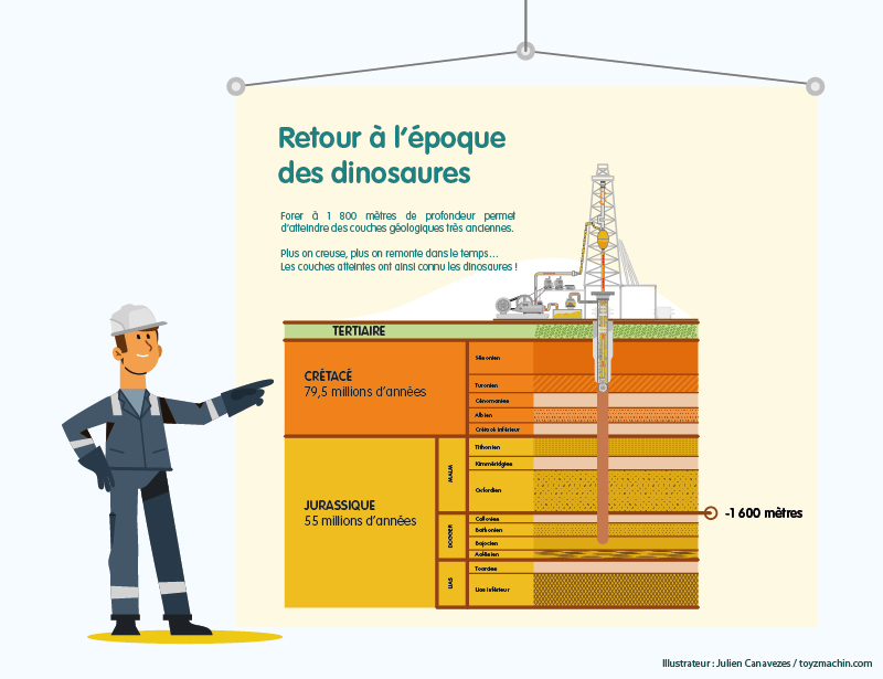 infographie schéma illustrateur