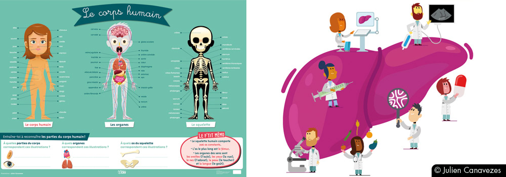 illustrateur medical et santé